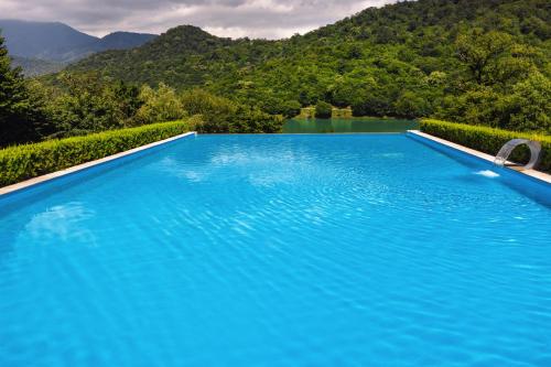 a large blue swimming pool with mountains in the background at Kvareli Lake Resort in Kvareli