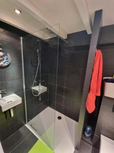 La salle de bains est pourvue d'une douche en verre et d'un lavabo. dans l'établissement LOC'MARIA, à Sauzon