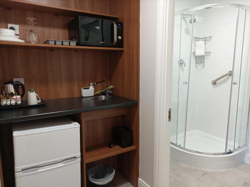 a bathroom with a shower and a tv on a shelf at Tom Dick and Harriet's Accommodation in Dublin