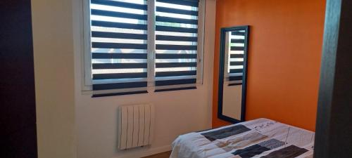 Cette chambre dispose de deux fenêtres, d'un lit et d'un miroir. dans l'établissement Montagna verde, à Strasbourg