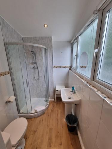 een badkamer met een douche, een toilet en een wastafel bij Horangee Pocha in Londen
