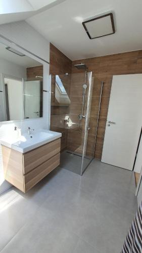 La salle de bains est pourvue d'un lavabo et d'une douche. dans l'établissement Velence Lakeside Pool House, à Velence