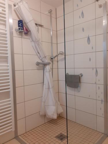 baño con ducha y puerta de cristal en Ferienwohnung Familie David, en Bad Bergzabern