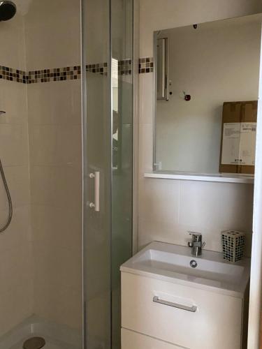 a bathroom with a shower and a sink at APPARTEMENT Studio neuf bas de villa Gorges du verdon à RIEZ in Riez