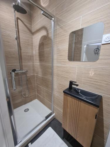 a small bathroom with a shower and a sink at Jade room in Saint-Romain-Lachalm