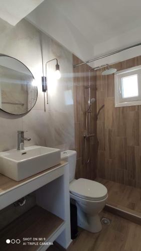 a bathroom with a toilet and a sink and a mirror at Iason studio 1 in Patitiri