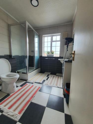 W łazience znajduje się toaleta i przeszklony prysznic. w obiekcie ELaparty w mieście Stone Grove