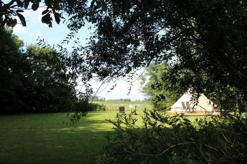a tent in the middle of a grass field at Grytmanshoeve, Vakantiehuis met glamping in Niawier