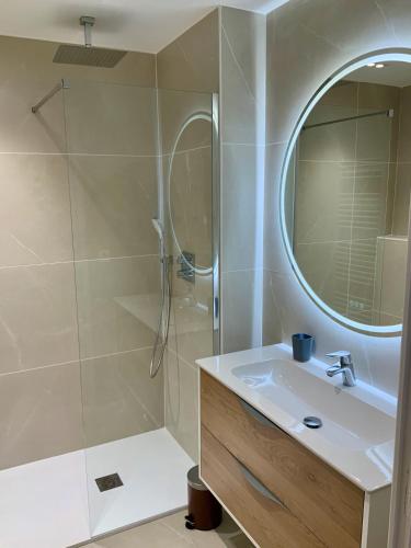 une salle de bain avec un lavabo et une douche avec un miroir dans l'établissement Le 21 Favre, Hyper centre, 70 m², 2 chambres, à Annecy