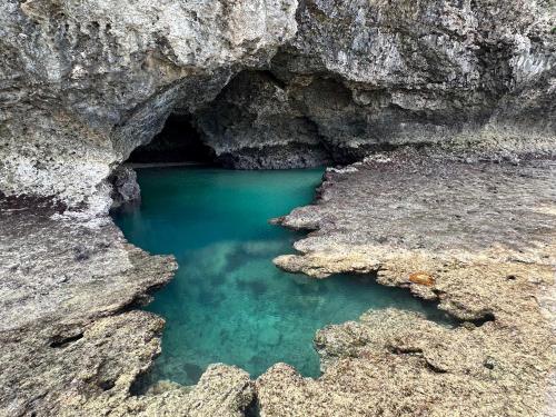 a small pool of water in a rocky cave at Green Rabbit Studio in Ishigaki Island