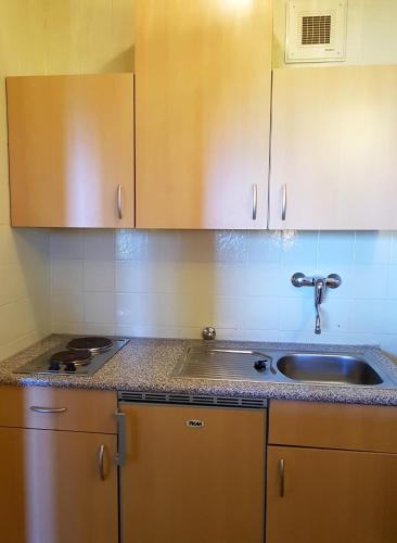 a kitchen with a sink and wooden cabinets at Apartment mit Balkon in Kempfeld