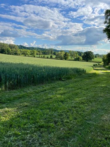 a field of green grass with at Groves Barn at Norton Grounds in Chipping Campden