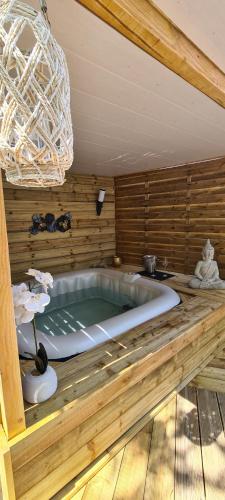 Chalet avec Jacuzzi