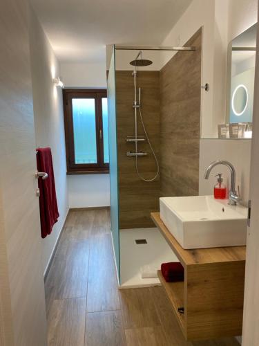 uma casa de banho com um lavatório e um chuveiro em Villa Vigneto em San Marzano Oliveto