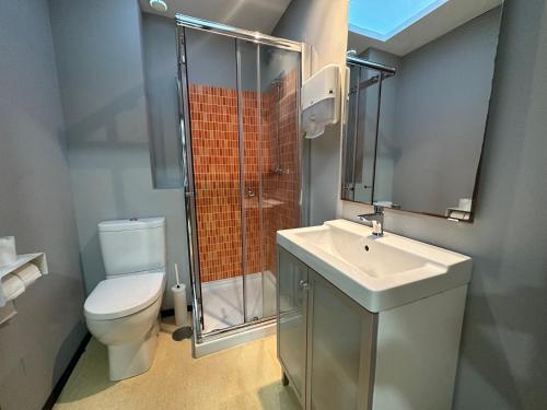 La salle de bains est pourvue de toilettes, d'un lavabo et d'une douche. dans l'établissement Vigo Beds & Rooms, à Vigo