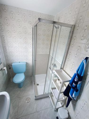 a bathroom with a shower and a blue toilet at La Cruz del Sur - "ONS" in Sanxenxo