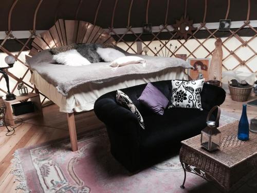 a cat laying on top of a couch in a room at Elodie Yurt in Bishopsteignton
