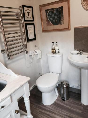 a bathroom with a white toilet and a sink at Elodie Yurt in Bishopsteignton