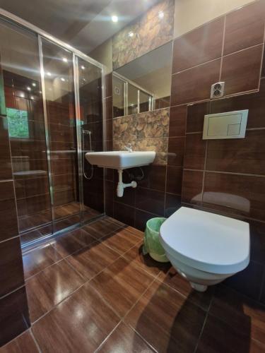 a bathroom with a toilet and a sink at Stropnica in Karpacz