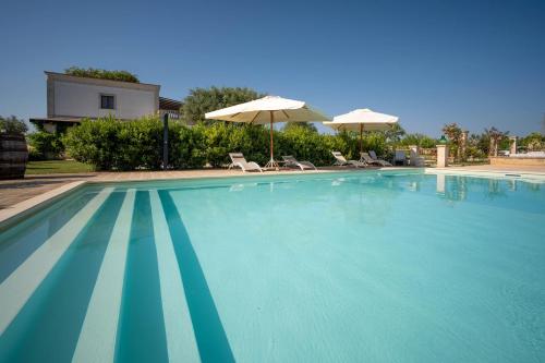 孔韋爾薩諾的住宿－TERRA TERRA - Masseria Minunni，一个带椅子和遮阳伞的大型游泳池