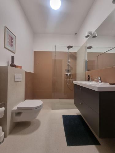 uma casa de banho com um WC, um lavatório e um chuveiro em Baltivia Haus em Gdynia
