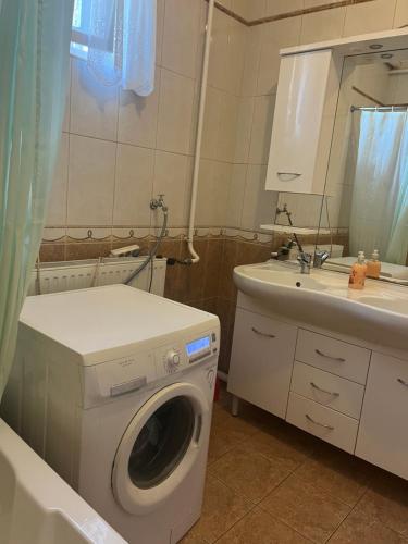 ein Badezimmer mit einer Waschmaschine und einem Waschbecken in der Unterkunft Rose Garden in Siófok
