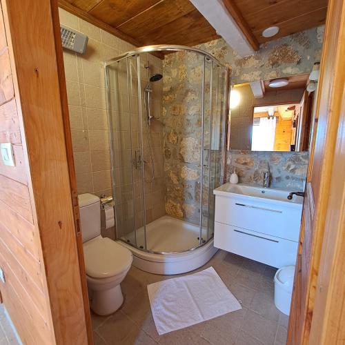 a bathroom with a shower and a toilet and a sink at Vineyard house in Grižane