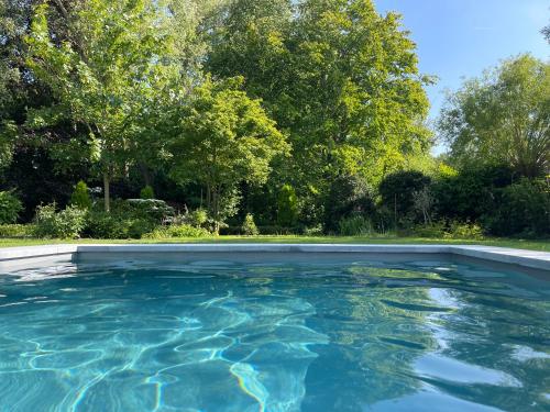 a pool of water with trees in the background at Hoeve Pino, Verwarmd zwembad in Oudenburg
