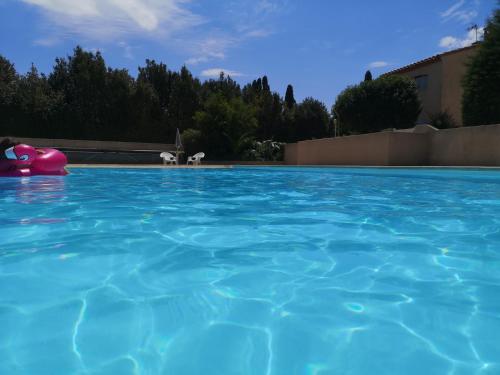 Photo de la galerie de l'établissement Mon oranger, à Claira