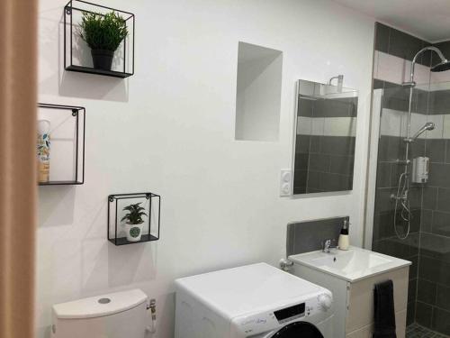 uma casa de banho com um WC, um lavatório e um chuveiro em Chez Mélanie em Neuilly-le-Réal