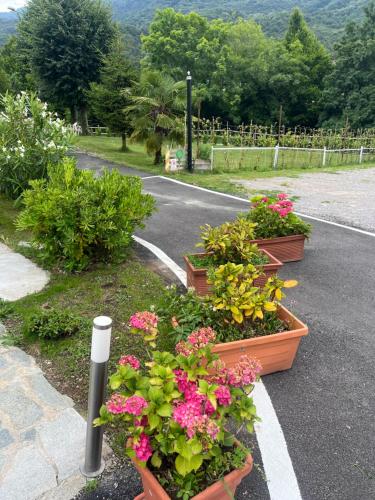 a row ofotted plants on the side of a road at Casa R&E in Valbrona