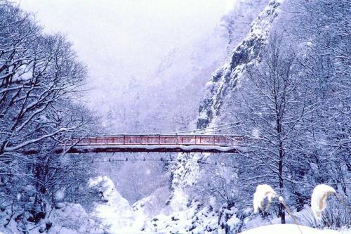 a red bridge in a snow covered mountain at MS STUDIO in Asahikawa