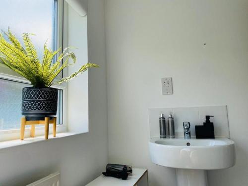 a bathroom with a sink and a plant in a window at Modern, Stylish and Central Home in Manchester