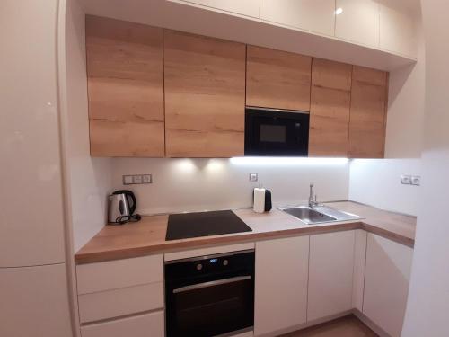a small kitchen with white cabinets and a sink at Residence Mariánská in České Budějovice