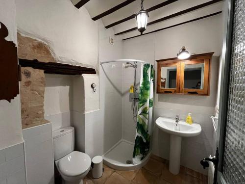 y baño con aseo y lavamanos. en Las Casas del Rincón- 7 dormitorios, en Villahermosa