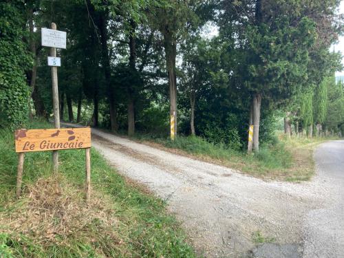 Le Giuncaie - Vigna con alloggio – Photos 2