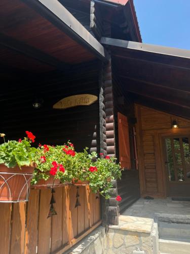 Фотография из галереи Vila Idila в Жабляке