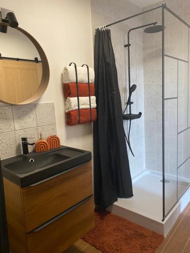 une salle de bain avec une douche avec un lavabo et un miroir dans l'établissement Le Jasmin, à Saint-Aignan