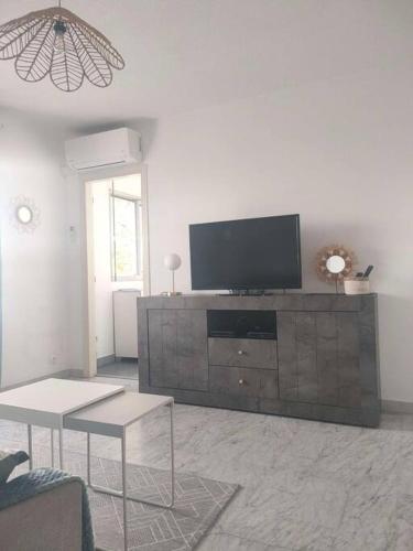 un salon avec une télévision à écran plat sur un centre de divertissement dans l'établissement Antibes Quiet studio air-condit-swim. pool tennis, à Antibes