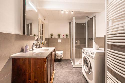a bathroom with a sink and a washing machine at fewo1846 - Kaete-Lassen-Huus - uriges Häuschen auf 3 Ebenen mit Dachterrasse am Hafen in Flensburg
