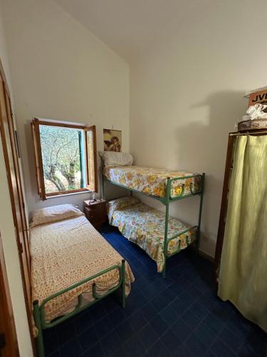 a room with two bunk beds and a window at Domo Austinu - Abbasanta in Abbasanta