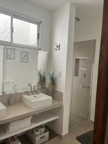 a bathroom with a sink and a mirror and a shower at La Puerta Azul San Carlos in San Carlos