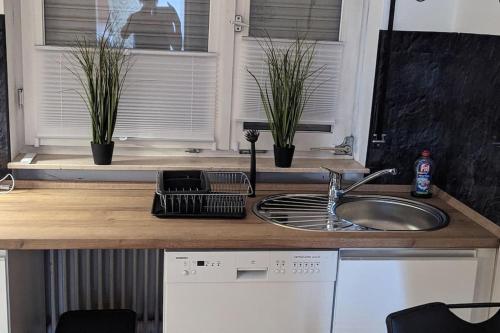 a kitchen counter with a sink and two potted plants at Ferienhaus Kusel Blick in Kusel