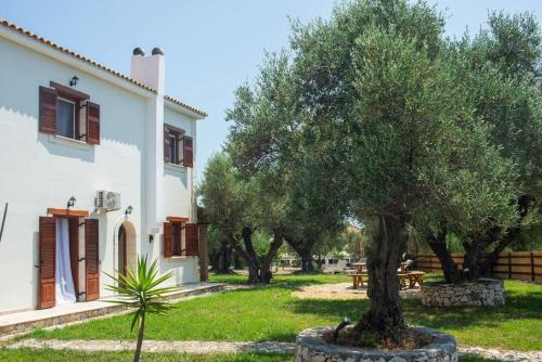 Κήπος έξω από το Oliva Cottage - Ideal for Families Close to Zakynthos Town