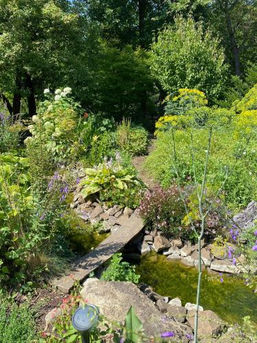 a garden with a wooden bridge over a stream at Tündérrózsa vendégház in Tahitótfalu