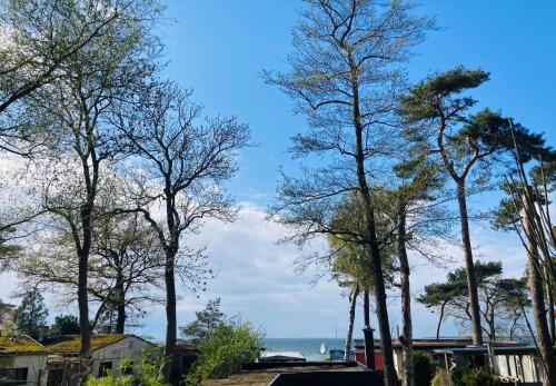 un grupo de árboles con el océano en el fondo en Ostsee-Gutshaus Am Salzhaff Pepelow nähe Rerik- am Meer residieren!, en Klein Strömkendorf