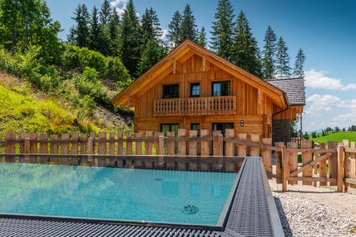 a log cabin with a pool in front of a house at Poolchalet Dachsteinblick in Pruggern