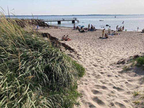 a group of people on a beach with a pier at Lovely guest house close to the sea and forest! in Domsten