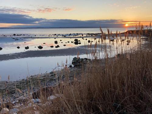 a beach with rocks in the water at sunset at Lovely guest house close to the sea and forest! in Domsten