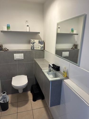 une salle de bain avec toilettes, lavabo et miroir dans l'établissement JOLIE MAISON AVEC JARDIN PRIVE DANS LE CENTRE VILLE DE BRIARE, à Briare
